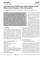 Membrane Fusion Mediated Intracellular Delivery of Lipid Bilayer Coated Mesoporous Silica Nanoparticles