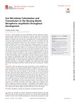 Gut Microbiota Colonization and Transmission in the Burying Beetle Nicrophorus vespilloides throughout Development