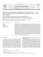 Hollow microneedle-mediated micro-injections of a liposomal HPV E7(43-63) synthetic long peptide vaccine for efficient induction of cytotoxic and T-helper responses