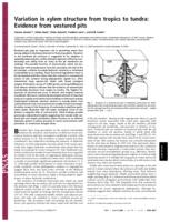 Variation in xylem structure from tropics to tundra: Evidence from vestured pits