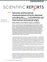 Genomic and functional characterisation of IncX3 plasmids encoding blaSHV-12 in Escherichia coli from human and animal origin