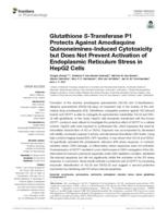 Glutathione S-Transferase P1 Protects Against Amodiaquine Quinoneimines-Induced Cytotoxicity but Does Not Prevent Activation of Endoplasmic Reticulum Stress in HepG2 Cells