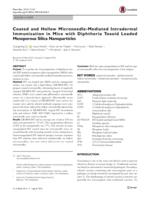 Coated and Hollow Microneedle-Mediated Intradermal Immunization in Mice with Diphtheria Toxoid Loaded Mesoporous Silica Nanoparticles