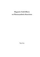 Magnetic field effects on photosynthetic reactions
