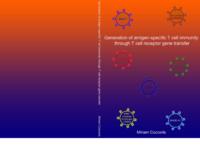 Generation of antigen-specific T cell immunity through T cell receptor gene transfer