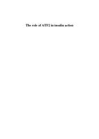 The role of ATF2 in insulin action