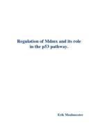 Regulation of Mdmx and its role in the p53 pathway