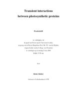 Transient interactions between photosynthetic proteins