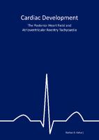 Cardiac development : the posterior heart field and atrioventricular reentry tachycardia