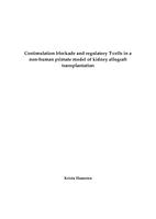 Costimulation blockade and regulatory T-cells in a non-human primate model of kidney allograft transplantation