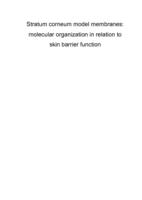 Stratum corneum model membranes : molecular organization in relation to skin barrier function