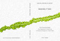 Making it big : how characean algae use cytoplasmic streaming to enhance transport in giant cells