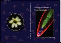 PIN protein phosphorylation by plant AGC3 kinases and its role in polar auxin transport