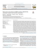 Foliar versus root exposure of AgNPs to lettuce: Phytotoxicity, antioxidant responses and internal translocation