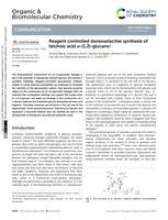 Reagent controlled stereoselective synthesis of teichoic acid α-(1,2)-glucans