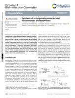 Synthesis of orthogonally protected and functionalized bacillosamines