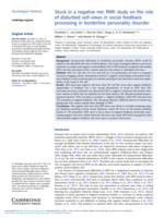 Stuck in a negative me: fMRI study on the role of disturbed self-views in social feedback processing in borderline personality disorder