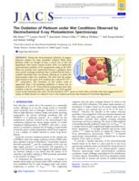 The Oxidation of Platinum under Wet Conditions Observed by Electrochemical X-ray Photoelectron Spectroscopy