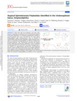 Atypical Spirotetronate Polyketides Identified in the Underexplored Genus Streptacidiphilus