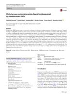 Methyl group reorientation under ligand binding probed by pseudocontact shift