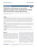 Phyllanthus rufuschaneyi: a new nickel hyperaccumulator from Sabah (Borneo Island) with potential for tropical agromining