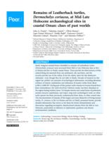 Remains of Leatherback turtles, Dermochelys coriacea, at Mid-Late Holocene archaeological sites in coastal Oman: clues of past worlds