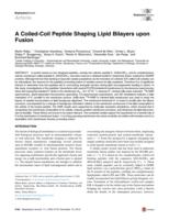 A Coiled-Coil Peptide Shaping Lipid Bilayers upon Fusion