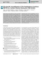 Site-specific immobilization of the peptidoglycan synthase PBP1B on a surface plasmon resonance chip surface