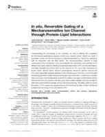 In situ, Reversible Gating of a Mechanosensitive Ion Channel through Protein-Lipid Interactions