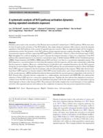 A systematic analysis of Nrf2 pathway activation dynamics during repeated xenobiotic exposure