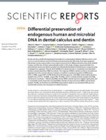 Differential preservation of endogenous human and microbial DNA in dental calculus and dentin