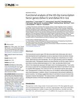 Functional analysis of the HD-Zip transcription factor genes Oshox12 and Oshox14 in rice