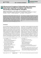 Ultrastructural Imaging of Salmonella-Host Interactions Using Super-resolution Correlative Light-Electron Microscopy of Bioorthogonal Pathogens