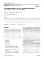 Corticosteroid Receptors in the Brain: Transcriptional Mechanisms for Specificity and Context-Dependent Effects