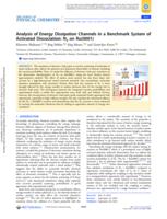 Analysis of energy dissipation channels in a benchmark system of activated dissociation: N2 on Ru(0001)