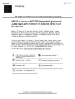 HEPES activates a MiT/TFE-dependent lysosomal-autophagic gene network in cultured cells: A call for caution