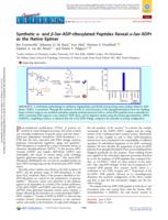 Synthetic alpha- and beta-Ser-ADP-ribosylated Peptides Reveal alpha-Ser-ADPr as the Native Epimer