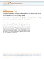 Stress-induced formation of cell wall-deficient cells in filamentous actinomysetes