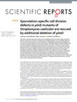 Sporulation-specific cell division defects in ylmE mutants of Streptomyces coelicolor are rescued by additional deletion of ylmD