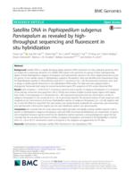 Satellite DNA in Paphiopedilum subgenus Parvisepalum as revealed by high-throughput sequencing and fluorescent in situ hybridization