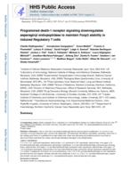 PD-1 Inhibitory Receptor Downregulates Asparaginyl Endopeptidase and Maintains Foxp3 Transcription Factor Stability in Induced Regulatory T Cells