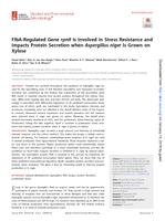 FlbA-regulated gene rpnR is involved in stress resistance and impacts protein secretion when Aspergillus niger is grown on xylose
