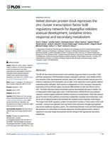 Velvet domain protein VosA represses the zinc cluster transcription factor SclB regulatory network for Aspergillus nidulans asexual development, oxidative stress response and secondary metabolism