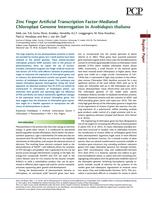 Zinc Finger Artificial Transcription Factor-Mediated Chloroplast Genome Interrogation In Arabidopsis thaliana