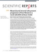 Mesenchymal stromal cells prevent progression of liver fibrosis in a novel zebrafish embryo model