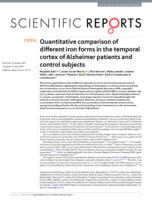 Quantitative comparison of different iron forms in the temporal cortex of Alzheimer patients and control subjects