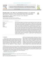 Shedding light on the effects of 1,25-dihydroxyvitamin D3 on epidermal lipid barrier formation in three-dimensional human skin equivalents