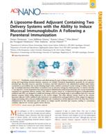 A Liposome Based Adjuvant Containing Two Delivery Systems with the Ability to Induce Mucosal Immunoglobulin A Following a Parenteral Immunization