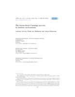 The hierarchical Cannings process in random environment