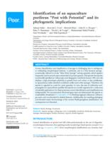 Identification of an aquaculture poriferan "Pest with Potential" and its phylogenetic implications